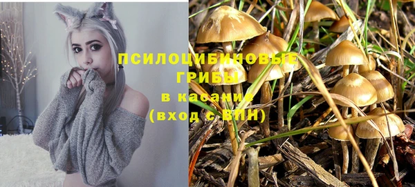 дживик Алексеевка